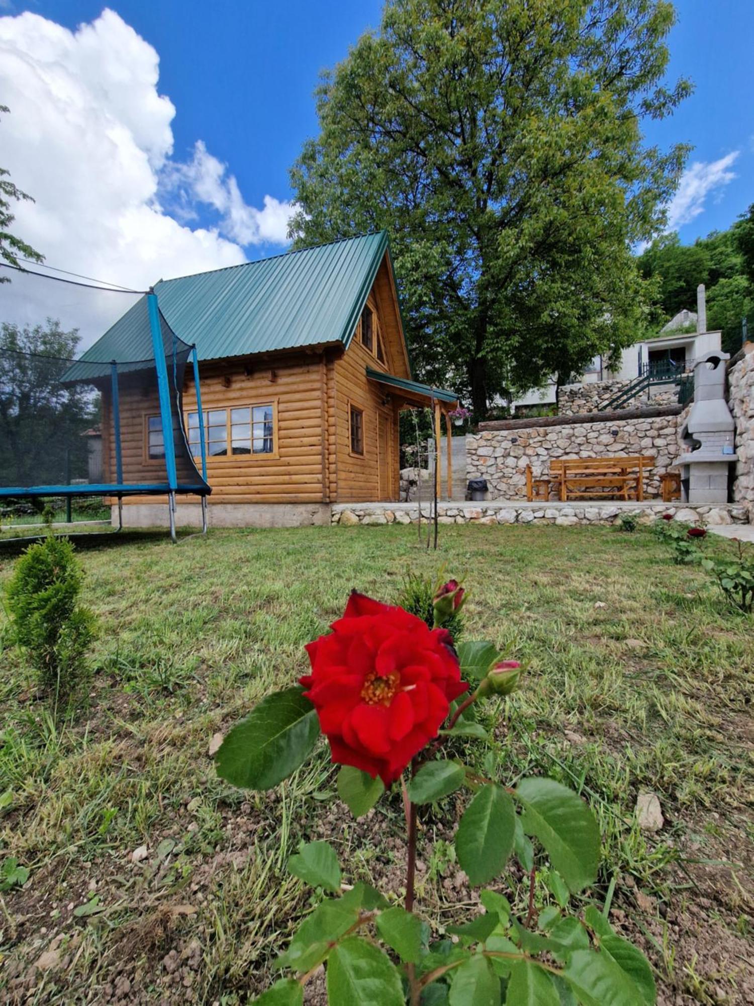 Brvnara Ricki Villa Cetinje Exterior foto