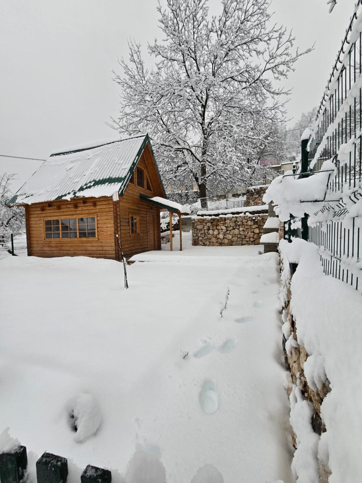 Brvnara Ricki Villa Cetinje Exterior foto